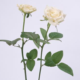 男人主動(dòng)斷聯(lián)代表什么，斷聯(lián)后男人的忍耐力有多長(zhǎng)時(shí)間