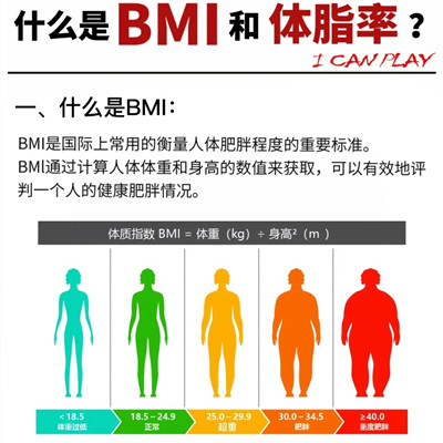 一張圖了解女性bmi是什么意思