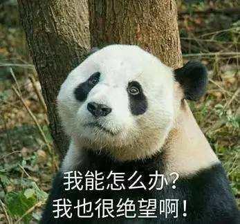 女生特別塑形黃金時(shí)：生理期專屬減肥塑形練習(xí)