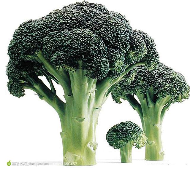 減肥？增?。克苄?？這個蔬菜一定要吃！不僅僅是好吃！