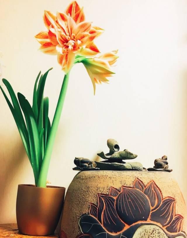 美食丨沙拉是一種年輕的態(tài)度，黃金周前你需要的減脂指南