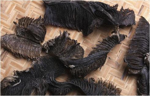 吃魚吃什么，你不知道的