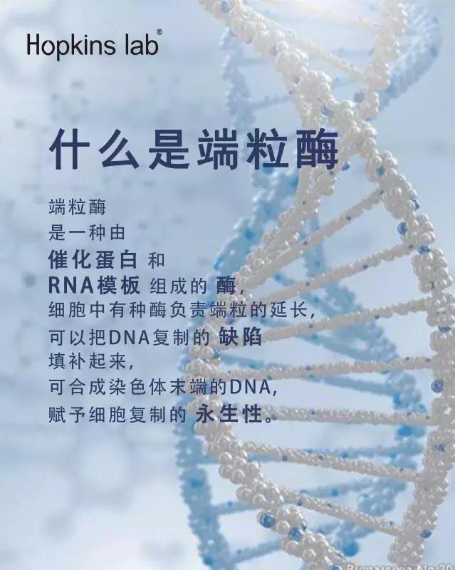 全球熱銷1000萬支！只要120秒去眼袋！從史泰龍老婆火到中國的！