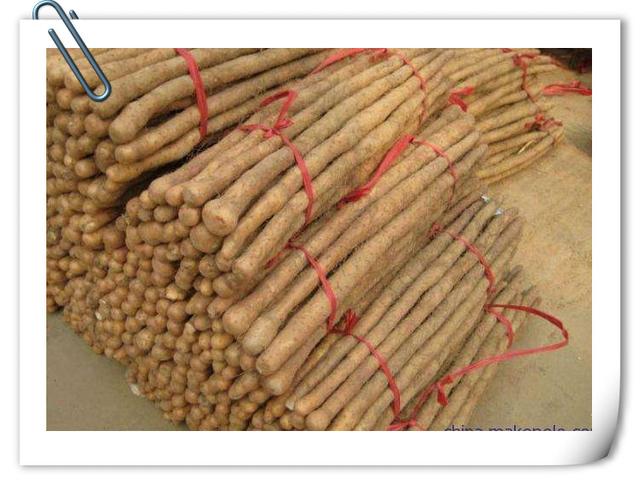 排骨湯內(nèi)加上這東西，媳婦美顏抗衰老，孩子補鈣長的高！