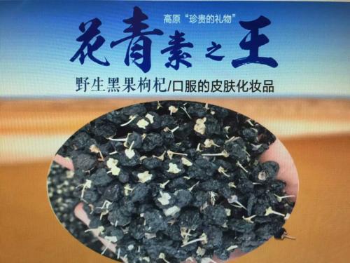 青海老媽媽告訴你：紅枸杞與黑枸杞的藥用價(jià)值！很實(shí)在！