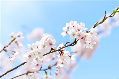 女人一旦對(duì)你動(dòng)情了，一定會(huì)有這7個(gè)征兆
