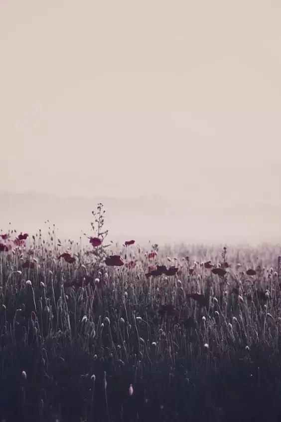 沒有主動(dòng)一方的感情，早晚都會(huì)散場
