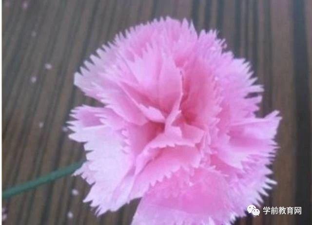 母親節(jié)：康乃馨手工大全，點(diǎn)燃媽媽的愛！