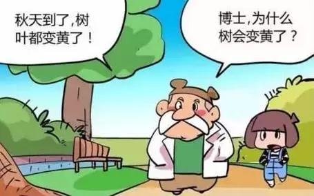 樹葉為什么會隨季節(jié)變化而變色？