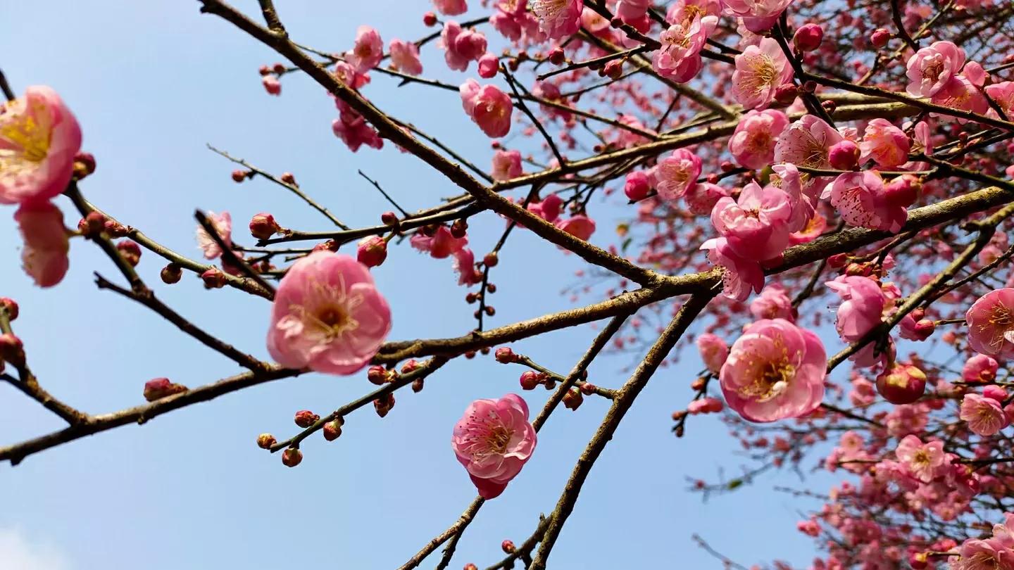 別人眼紅你有錢(qián)的征兆，為什么眼紅嫉妒的都是身邊的人