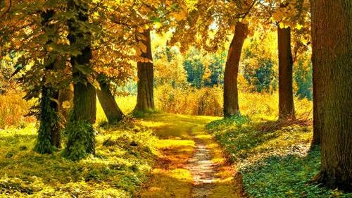 別人眼紅你有錢(qián)的征兆，為什么眼紅嫉妒的都是身邊的人