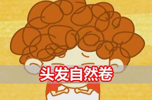 為什么說自然卷有福氣，自然卷可能與智商有關嗎