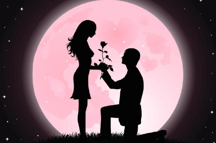 女生說花開了暗示什么，當異性說花開了是什么意思