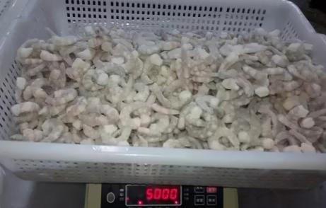 為什么不能買冷凍蝦仁，蝦仁為什么比蝦便宜