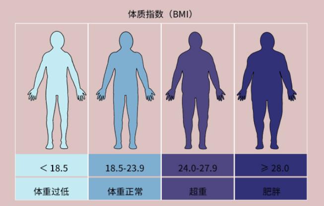 怎么知道女性bmi大小，女性bmi大好還是小的好