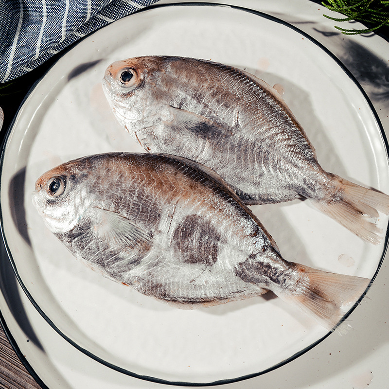 什么魚沒有刺還便宜，什么魚一根刺都沒有
