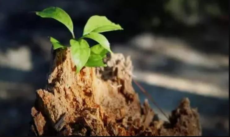 可以讓自己增值的行業(yè)，巨額財(cái)富來臨前的征兆