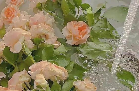 皮婚紀念日送老公什么禮物，皮婚是代表結(jié)婚多少年