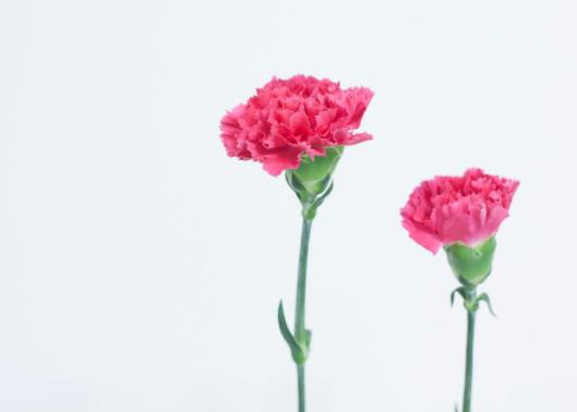 中年女人氣質(zhì)油膩是怎么回事，為什么人到中年會變油膩