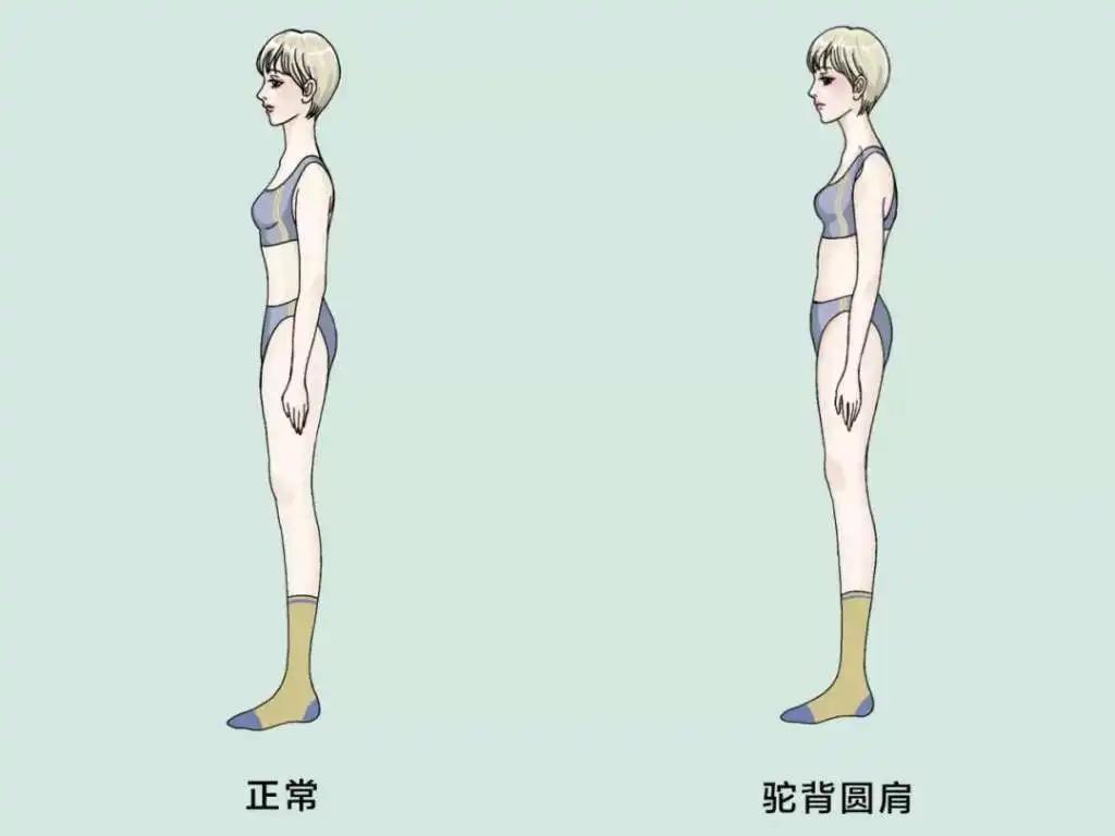 體態(tài)好的女人更美嗎，怎么養(yǎng)成良好的體態(tài)