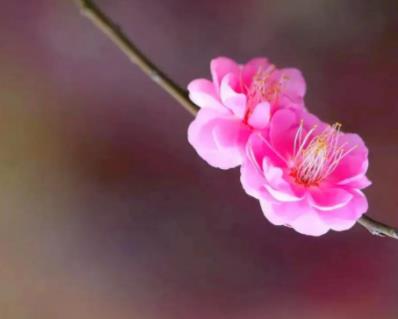 三個(gè)證明你老了的表現(xiàn)