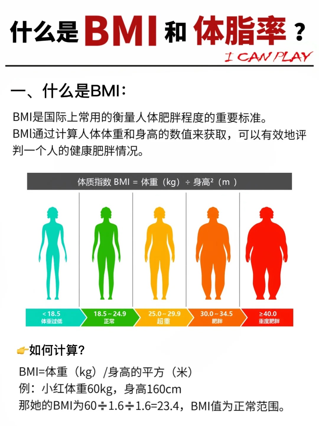 一張圖了解女性bmi是什么意思